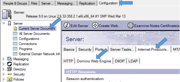 Setting up Domino Access Services